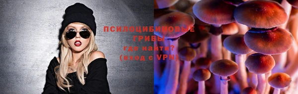 прущие грибы Алзамай