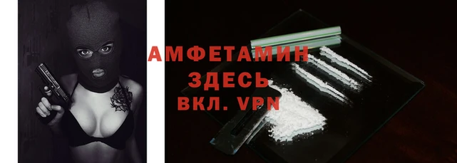прущие грибы Алзамай