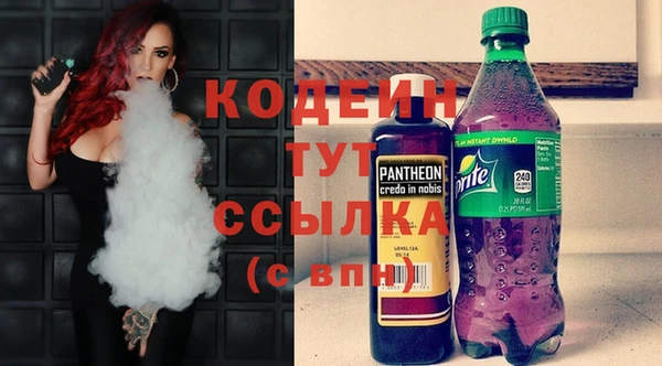 прущие грибы Алзамай
