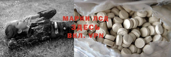 прущие грибы Алзамай