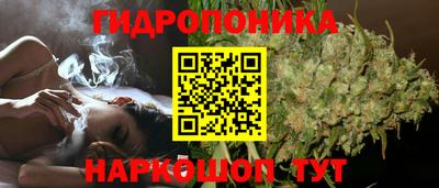 гидра Дубна