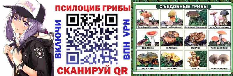 Галлюциногенные грибы Psilocybe Набережные Челны