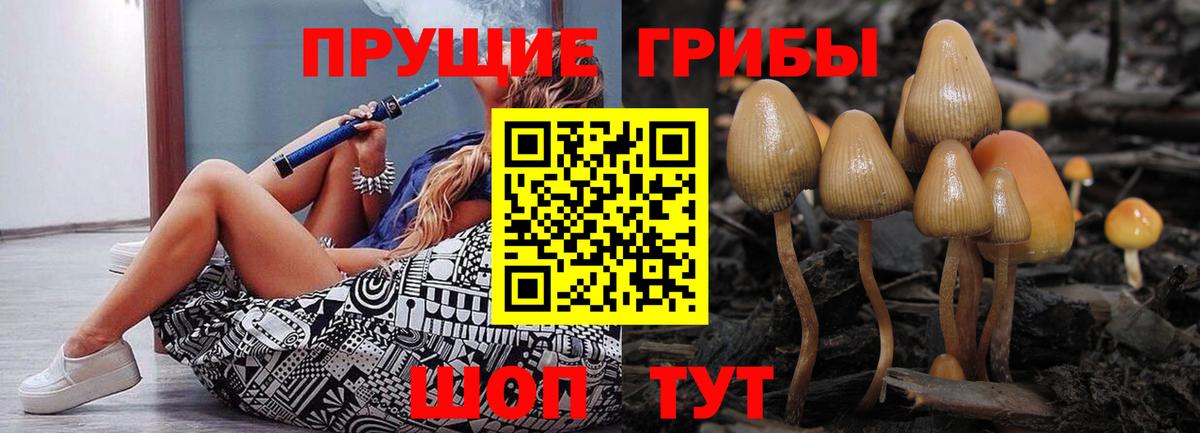 Галлюциногенные грибы GOLDEN TEACHER Набережные Челны